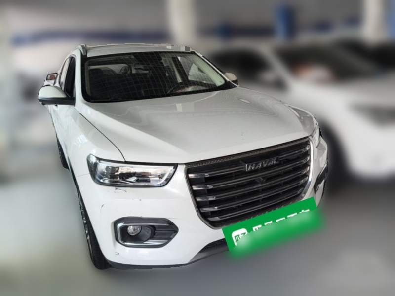 Used Haval H6 2020 1.5 GDIT Automatic Platinum Champion Edition — 3
