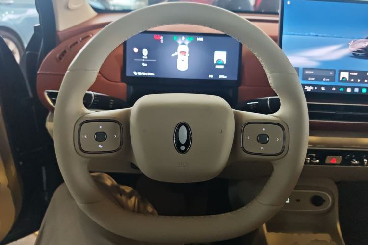 Used ORA Good Cat GT 2025 Model, Mulan Edition, 430km Prestige Version
