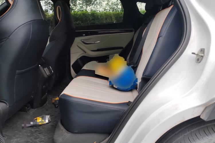 Used BYD Song PLUS New Energy 2021 EV Flagship Model Left Rear Seat