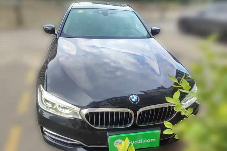 Used BMW 5 Series New Energy 2019 530Le Luxury Package
