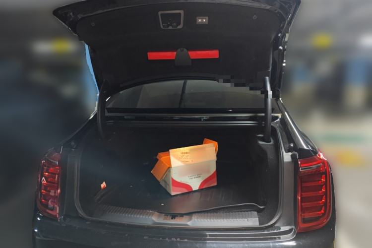 Used Hongqi H9 2020 2.0T Smart Connect Flagship Edition
