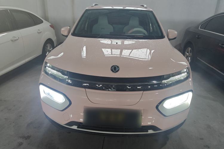 Used Dongfeng NAMMI EX1 2023 PRO Light Wind Edition Lightning Model