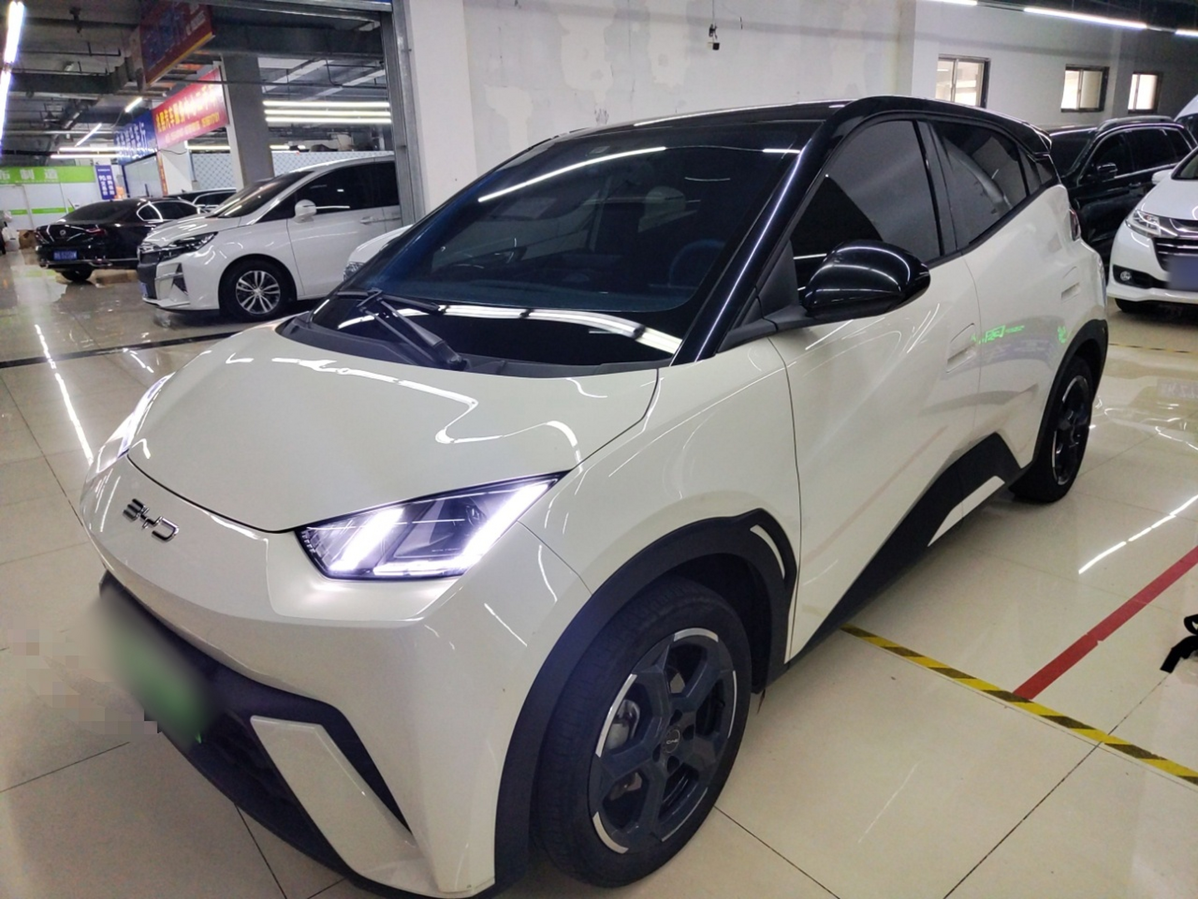 Parte inferior delantera