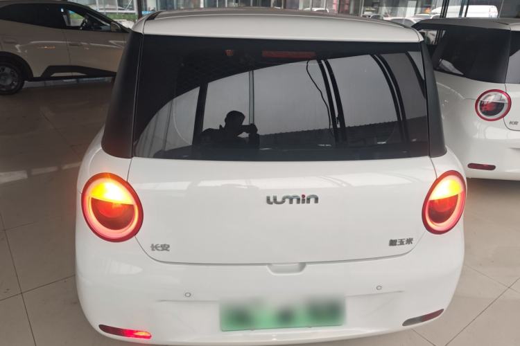 Used Qiyuan Lumin 2023 205km Xiangqin Version
