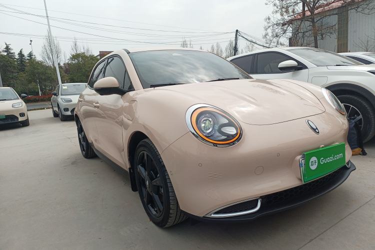 Used ORA Good Cat 2024 501 km Luxury Version Front Right 45 Deg