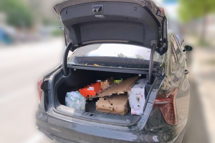 Used Hongqi H5 2025 2.0T Automatic Xuan Ying Edition Trunk