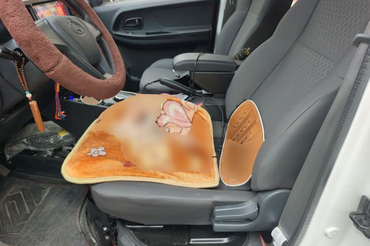 Used CHANGAN KAICHENG Ruixing EM60 2025 Passenger Version Comfort Edition 6 Seats 300 km Range Side-Hinged Doors Left Front Seat