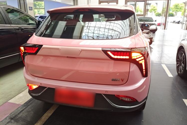 Used NETA V 2021 Witch Edition Rear