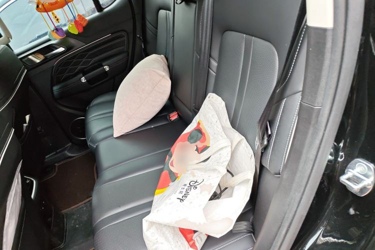 Used Tank 300 2024 2.0T Crosser