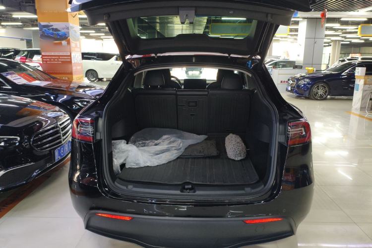 Used Tesla Model Y 2021 Standard Range Rear-Wheel Drive Version