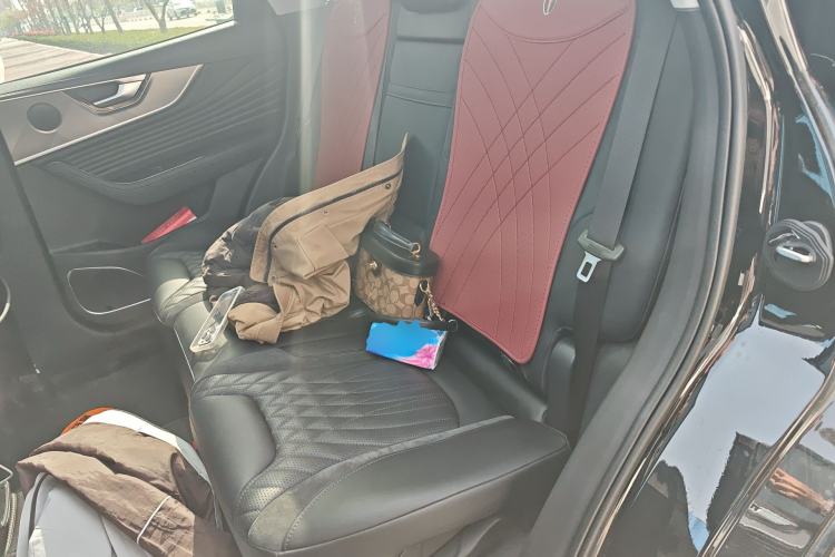 Used Hongqi HS5 2023 2.0T Four-Wheel Drive Flagship Pro 500 000th Unit Commemorative Edition