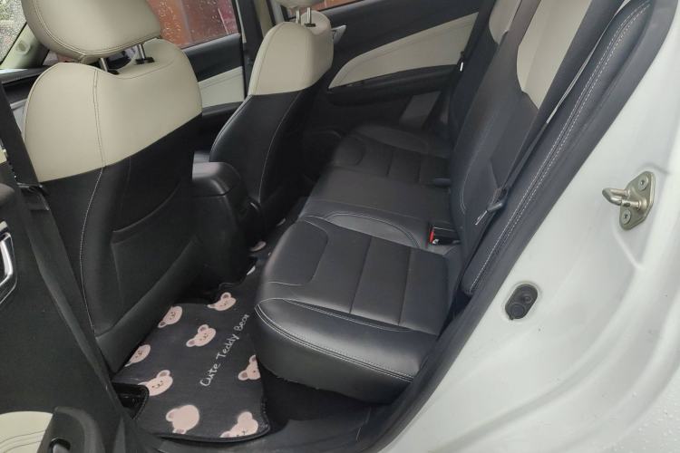 Used Livan Maple 30X 2020 Style Edition
