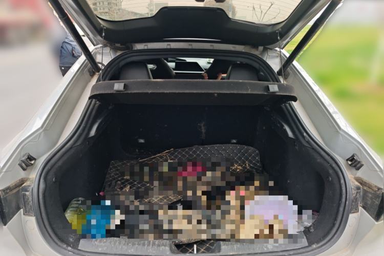 Used CHANGAN UNI-V 2023 1.5T Sport Edition
