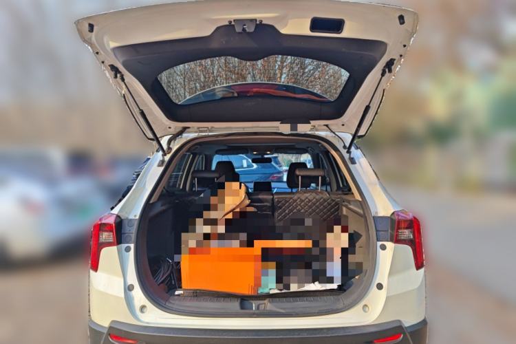 Used Venucia T60 2020 1.6L Manual Smart Vision Version China VI Standard
