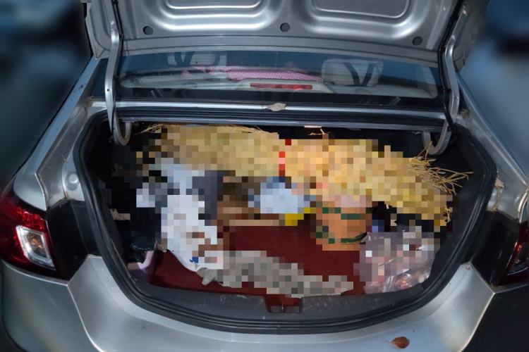 Used CHANGAN Alsvin V5 2012 1.5L Manual Dream Edition
