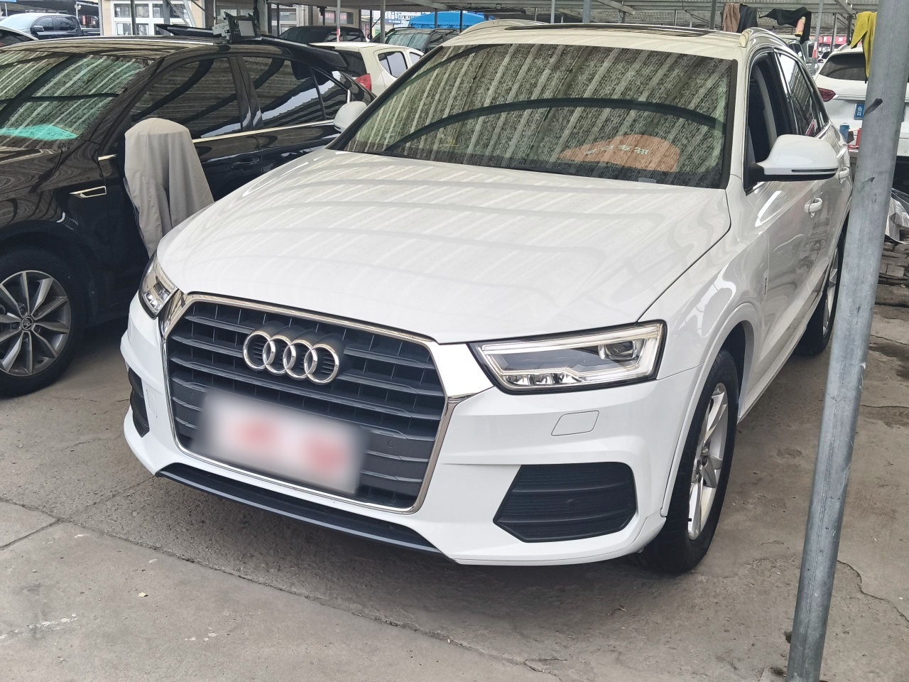 Parte inferior delantera