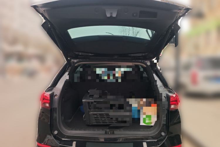 Used Chevrolet Equinox 2022 535T YuJie Edition Trunk