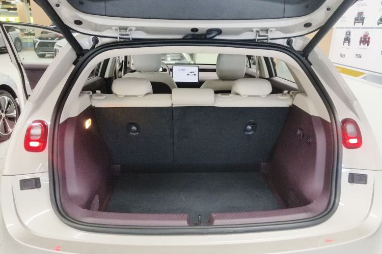 Used firefly 2025 Illuminated Edition
