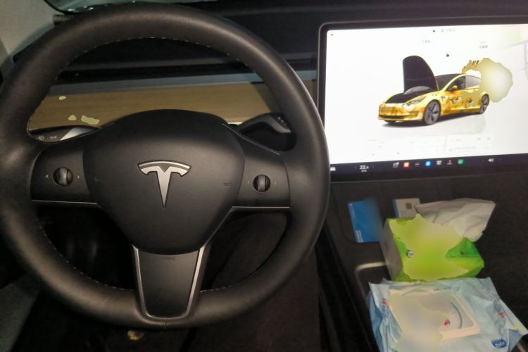 Used Tesla Model 3 2022 Rear-Wheel-Drive Version