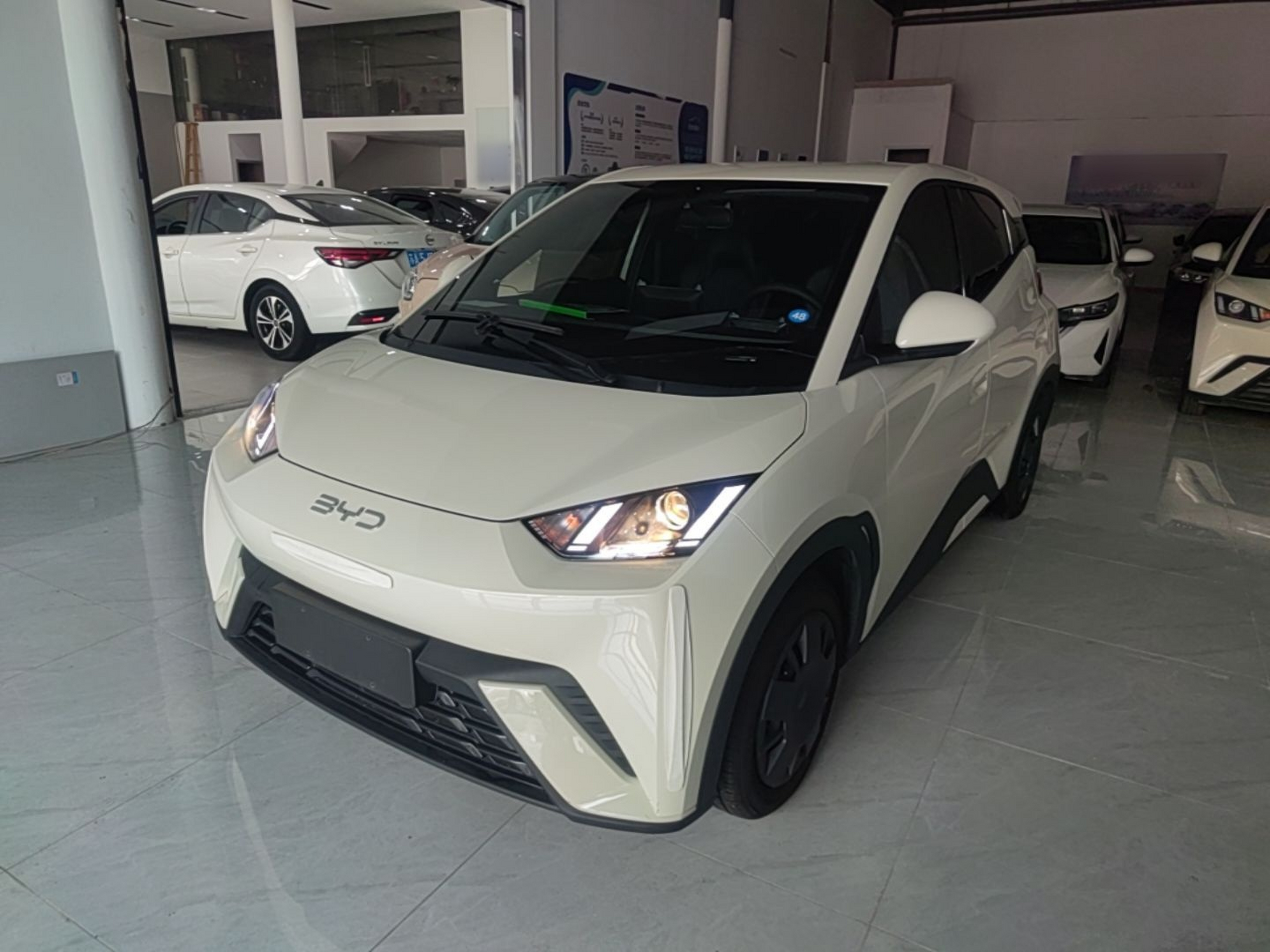 Under Front Bumper