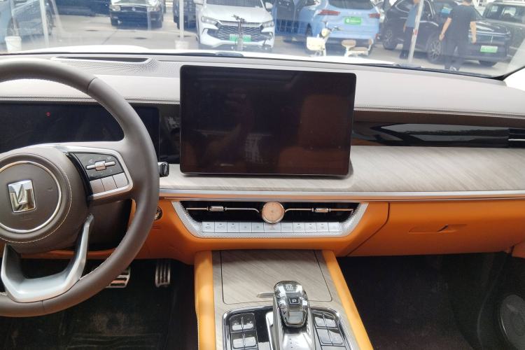 Used Tank 500 New Energy 2025 Hi4-Z