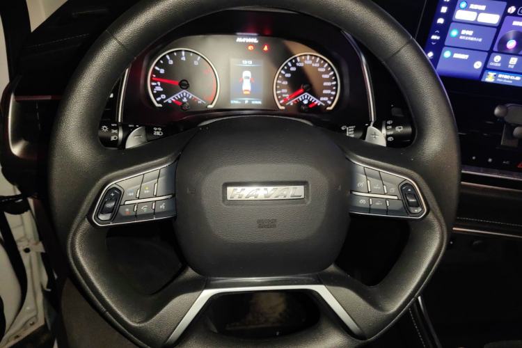 Used Haval H6 2023 National Trend Edition 1.5T Automatic Urban Version

