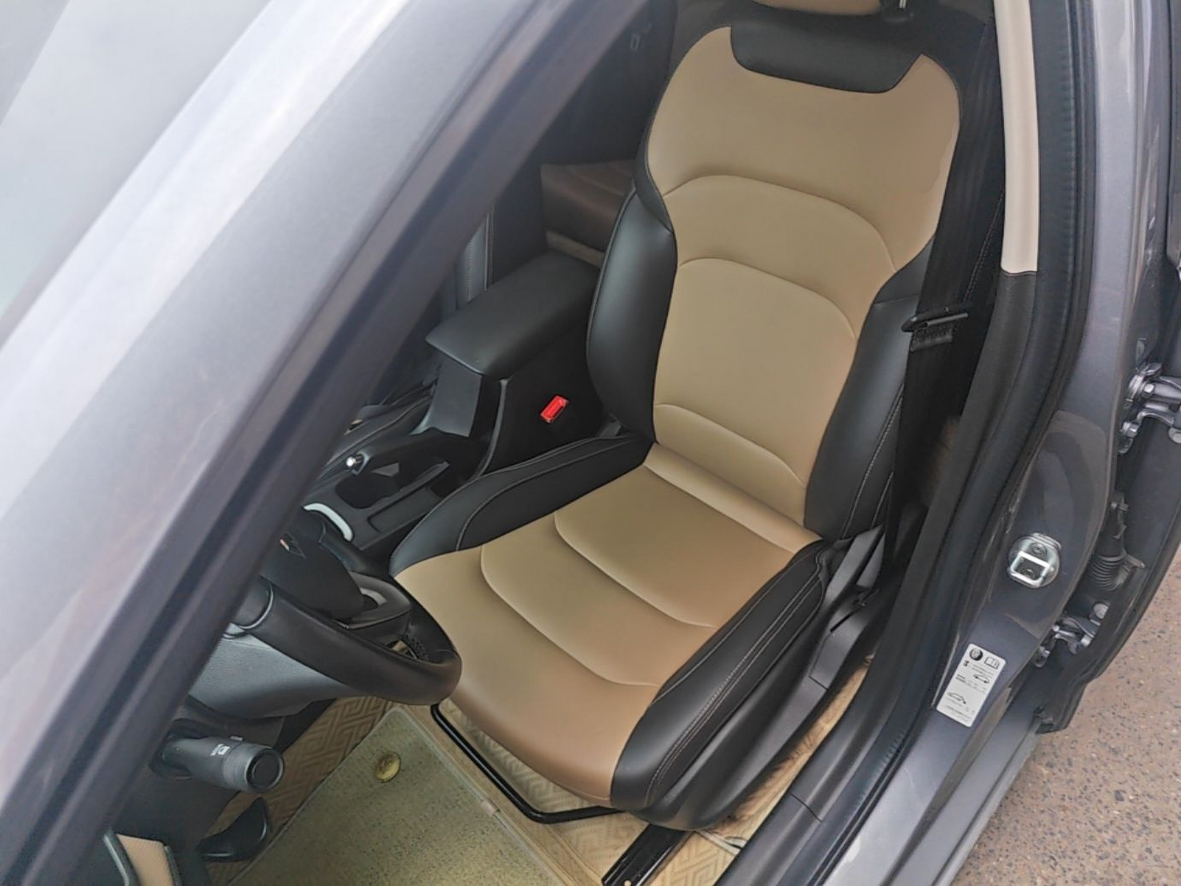 Interior delantero