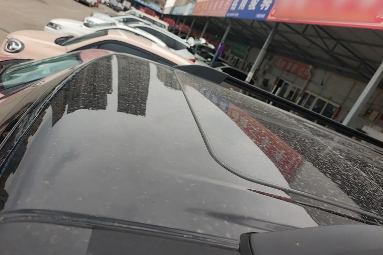 Used Tank 300 New Energy 2025 Hi4-T Roof