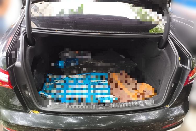 Used Audi A6L 2023 Revised 45 TFSI Prestige Dynamic Edition