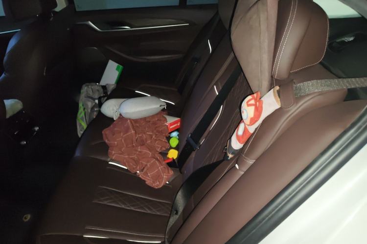 Used BMW 5 Series 2020 530Li Luxury Edition Premium Package Left Rear Seat