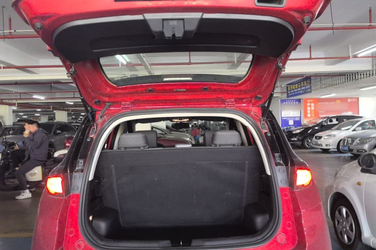 Used Dayun Yuehu 2022 30.66 kWh Two-Wheel Drive Standard Version Trunk