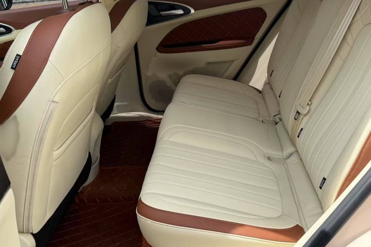 Used ORA Good Cat 2023 401 km Standard Range Premium Version Lithium Iron Phosphate
