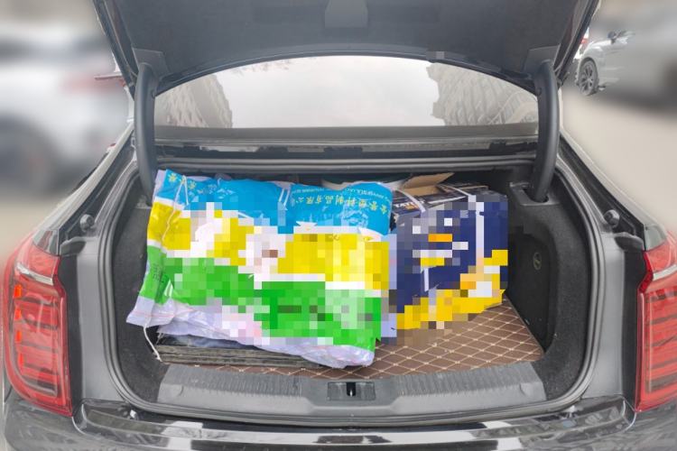 Used Hongqi H9 2020 2.0T Smart Connect Flagship Edition
