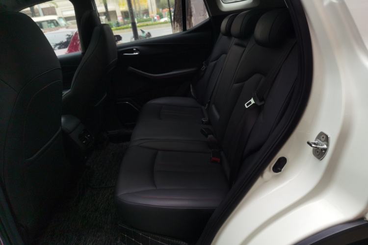 Used GAC Trumpchi GS4 2020 270T Automatic Elite Tech Edition Left Rear Seat