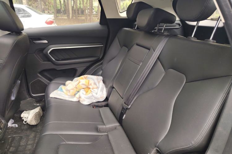 Used Haval H6 2017 Blue Label 2.0T Automatic Two-Wheel Drive Luxury Model
