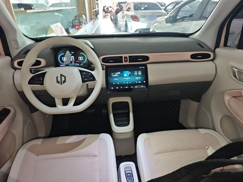 Used Leapmotor T03 2023 310 Lite Edition — 9