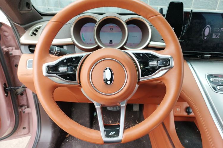 Used ORA Lightning Cat 2022 555 km Luxury Edition