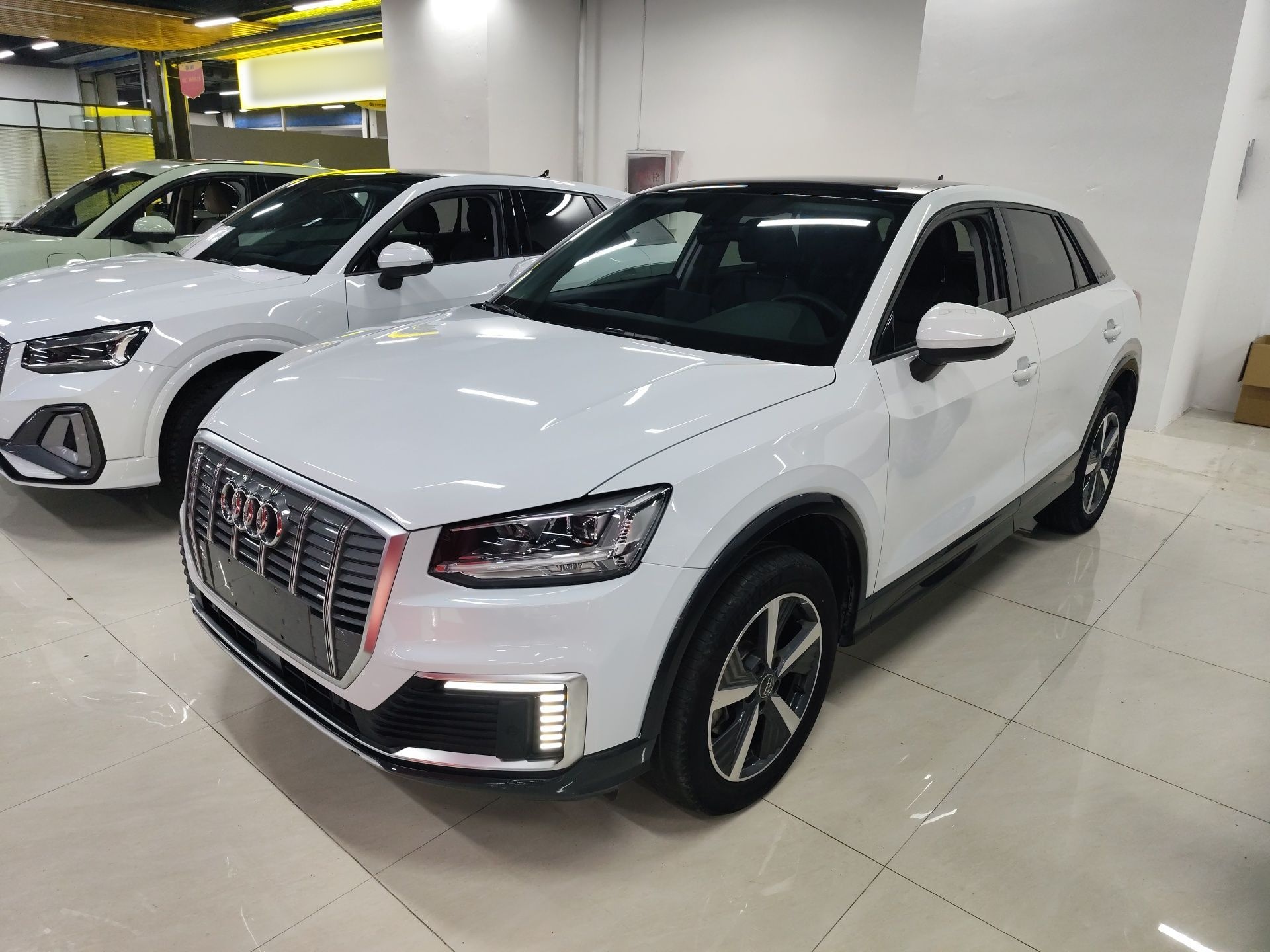 Parte inferior delantera