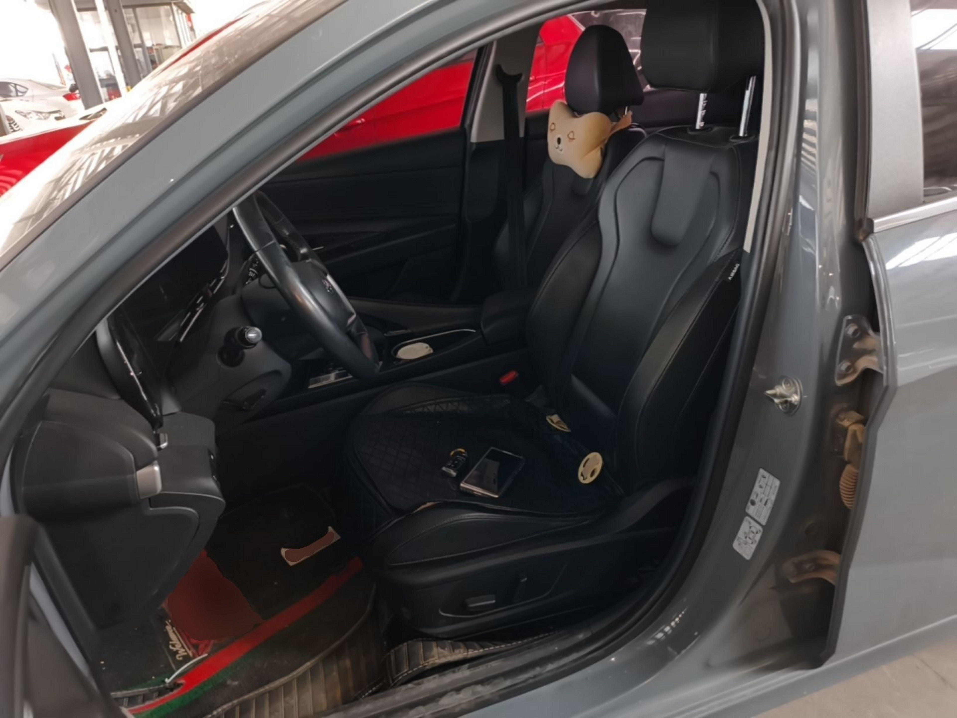 Interior delantero