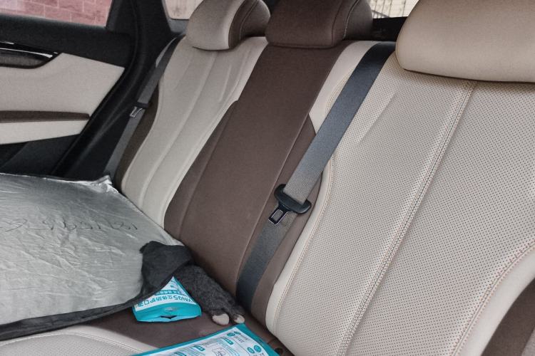 Used BYD Qin PLUS 2023 Champion Edition DM-i 55KM Leading Model