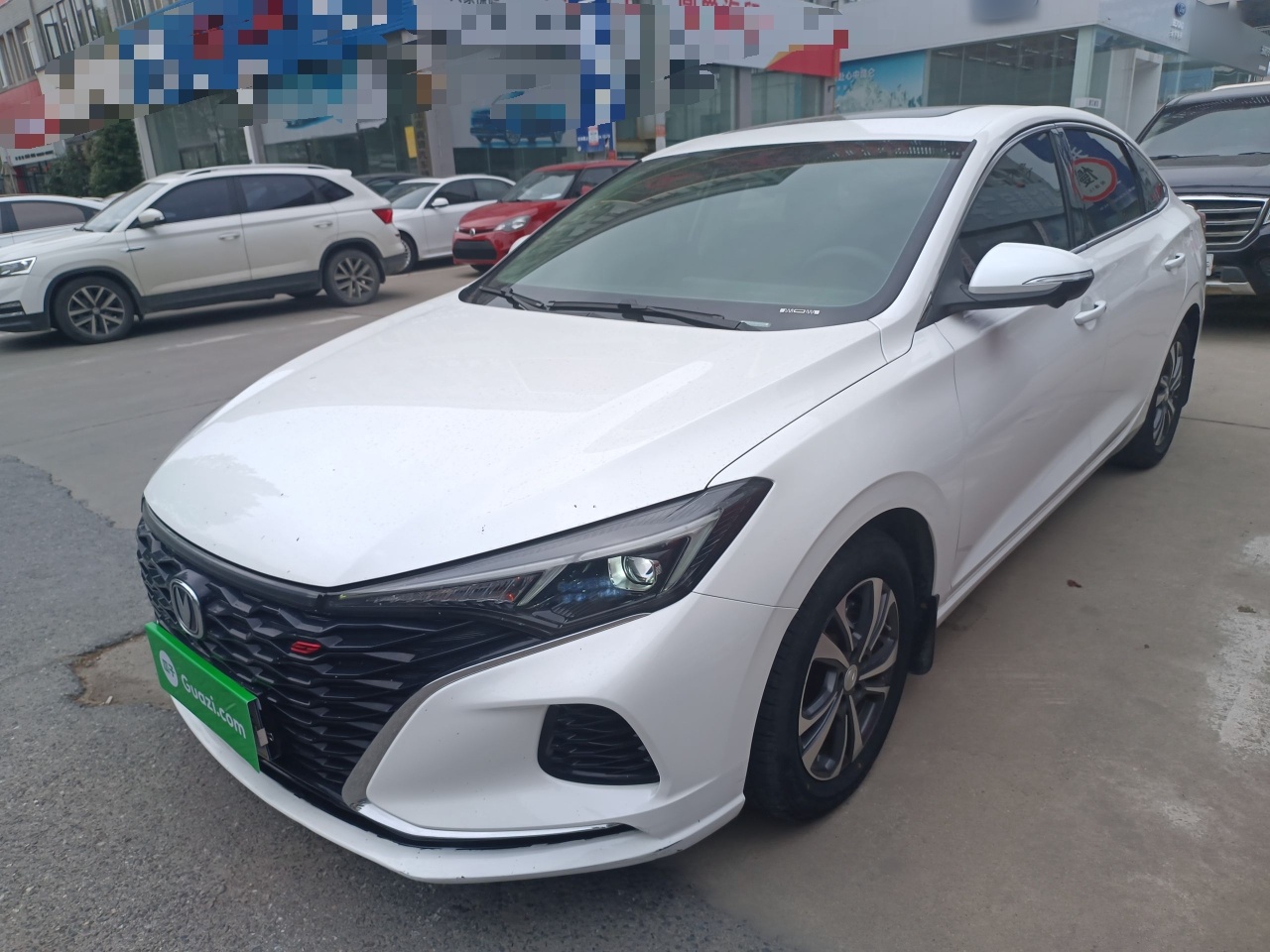 Parte inferior delantera