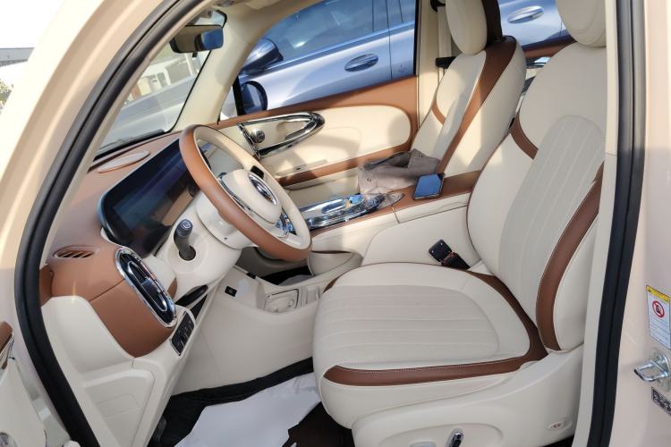 Used ORA Ballet Cat 2023 401 km Luxury Version
