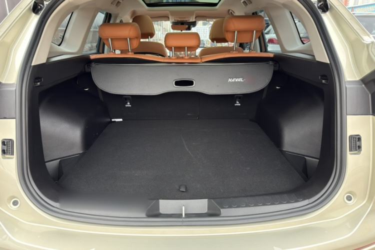 Used Haval H6 2024 2.0T All-Wheel Drive Max
