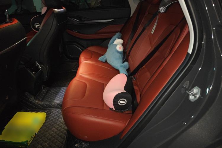 Used Lincoln Z 2022 iXiang Zunyi Edition Left Rear Seat