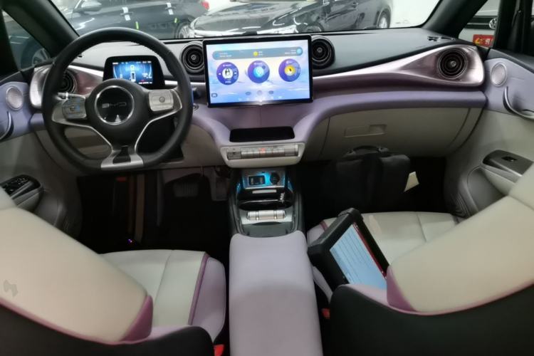 Used BYD Dolphin 2021 401km Knight Edition Center Console