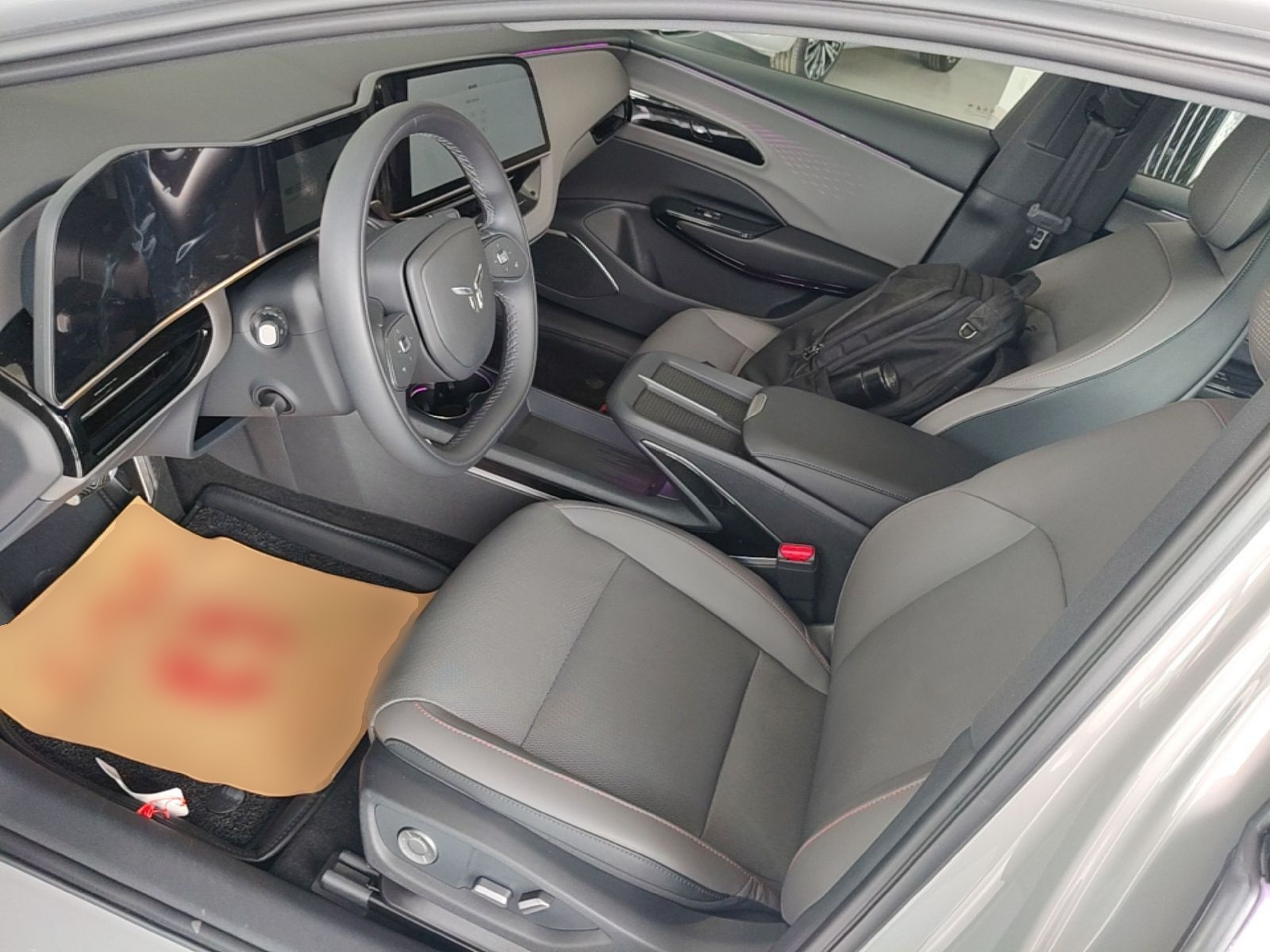 Interior delantero
