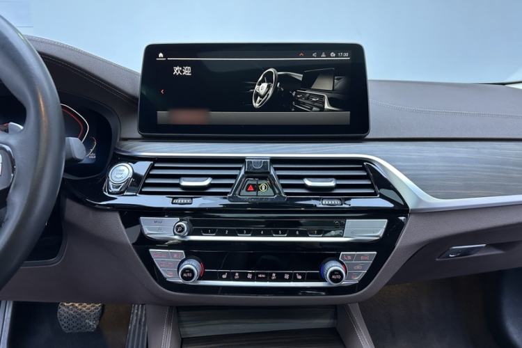 Used BMW 5 Series 2021 530Li Leading Luxury Package
