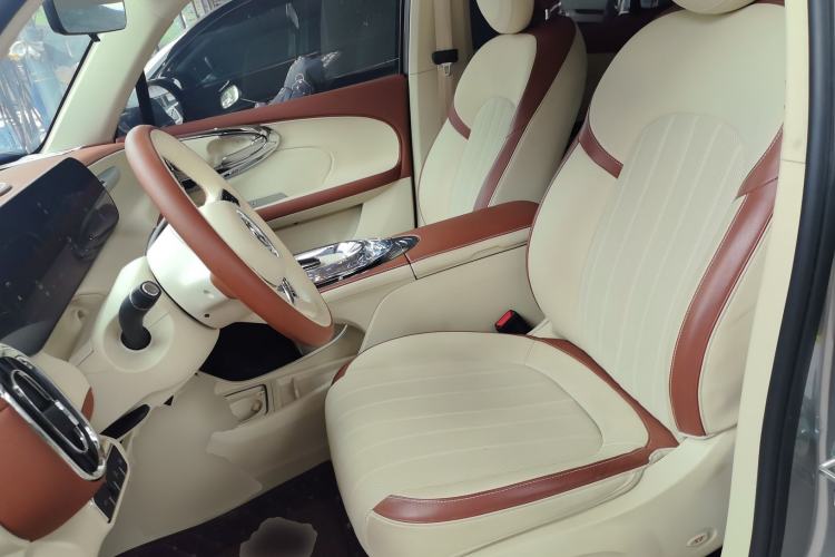 Used ORA Ballet Cat 2023 401 km Luxury Version
