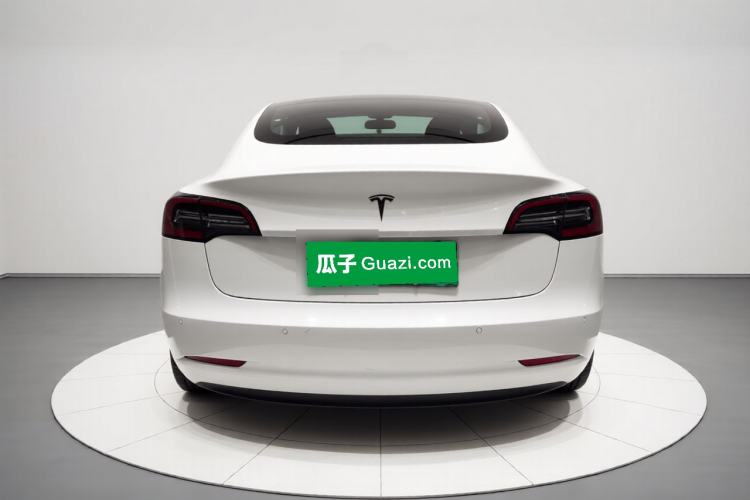 Used Tesla Model 3 2019 Standard Range Rear-Wheel Drive Upgraded Version (60 kWh) Rear