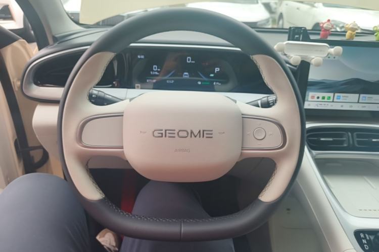Used Geely Galaxy Geome 2025 310km Youth Edition